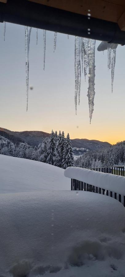 Penthouse Skyview im Natur-Erlebnispark Bad Kleinkirchheim Patergassen Exterior foto